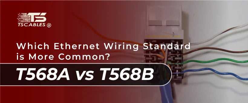 cat5e wiring diagram cat5e wiring diagram