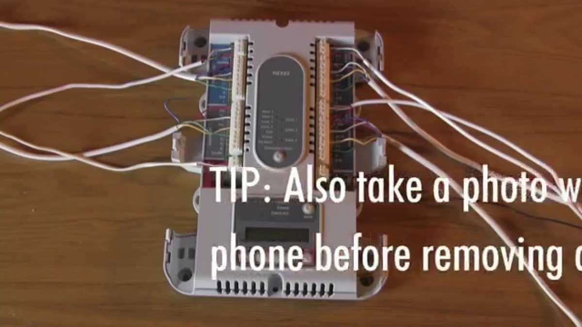 honeywell hz311 wiring diagram