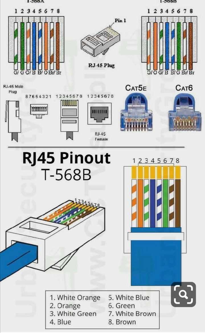 wiring diagram ethernet cable
