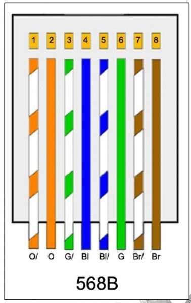 cat 5 ethernet cable wiring diagram