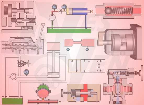 circuit training diagram