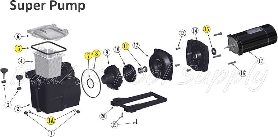 hayward super pump parts diagram hayward super pump parts diagram