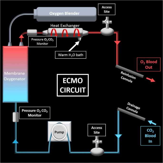 ecmo circuit diagram