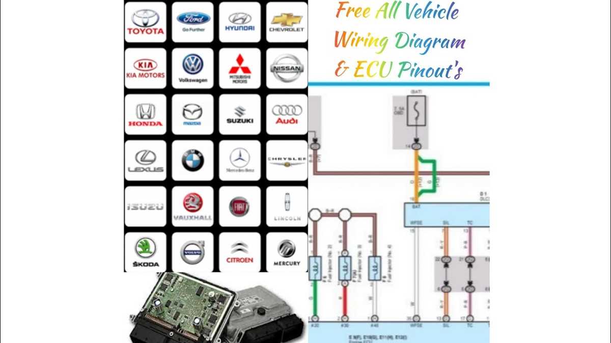 fuse box wiring diagram