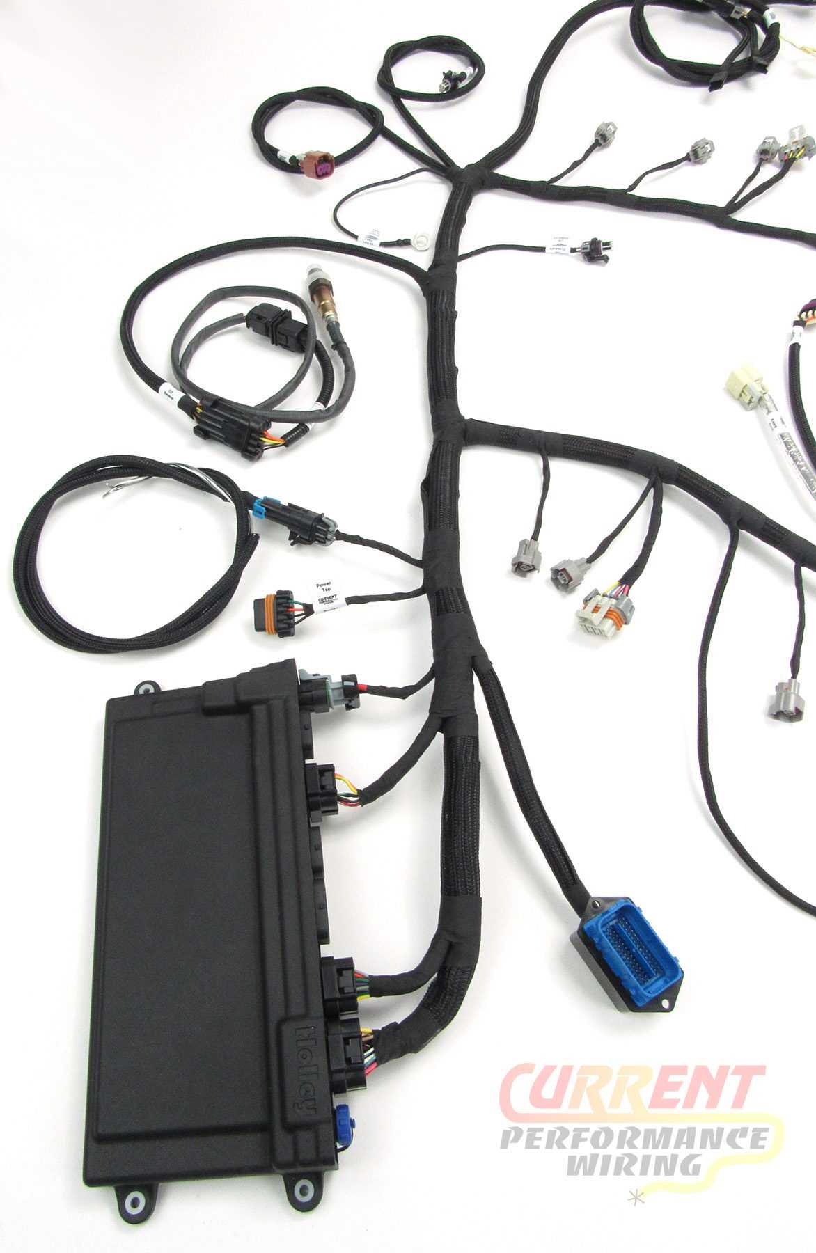 holley hp wiring diagram