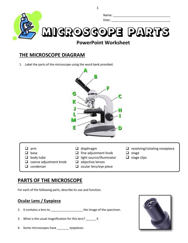 microscope parts diagram