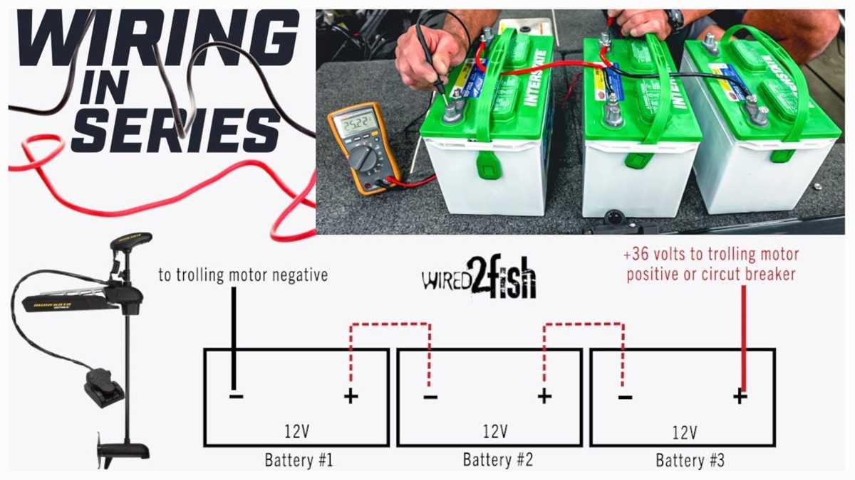 minn kota wiring diagram 24 volt