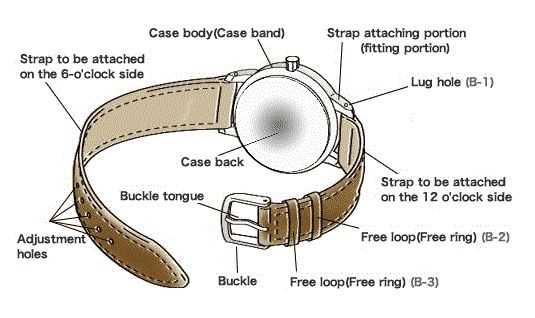 watch diagram parts