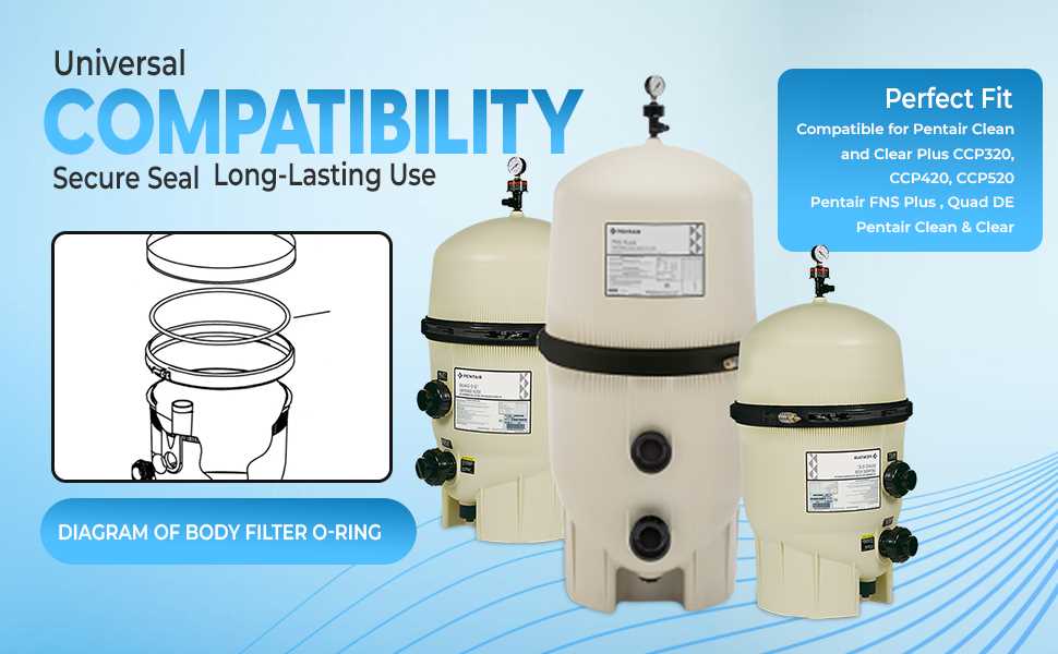 pentair clean and clear plus parts diagram