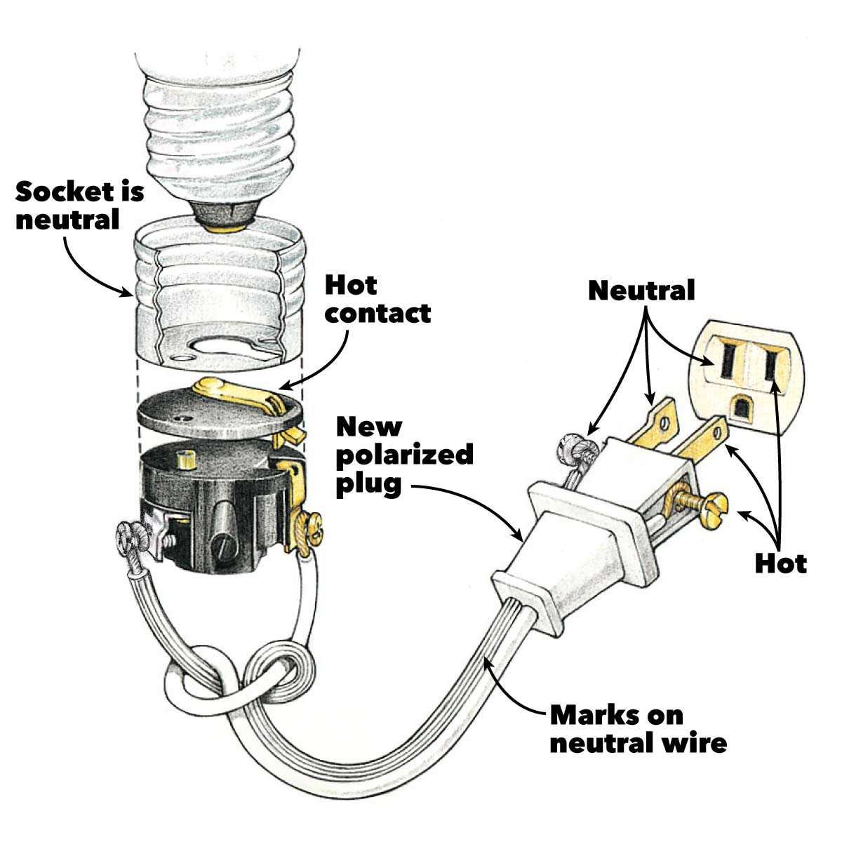 plug socket wiring diagram