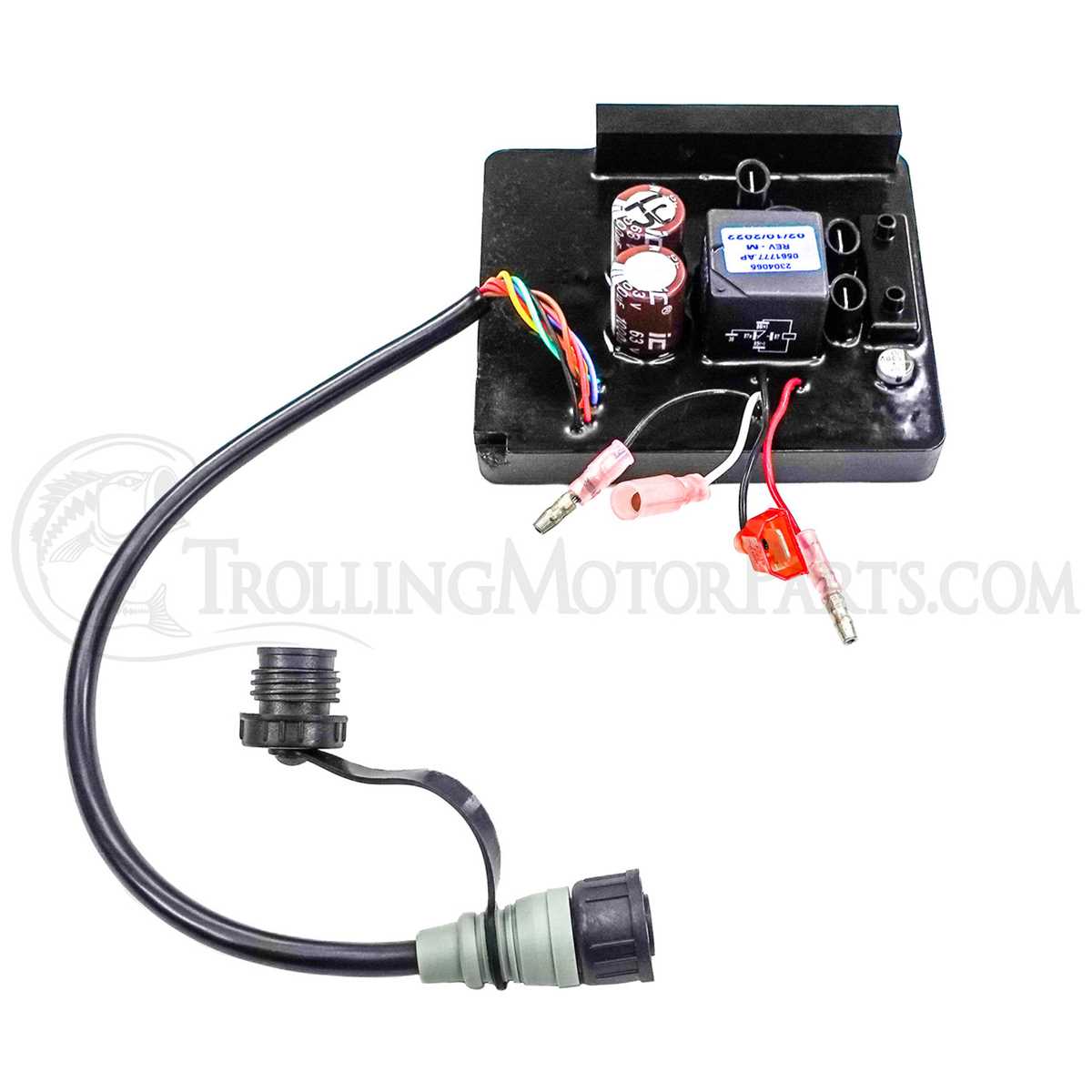 minn kota wiring diagram 24 volt