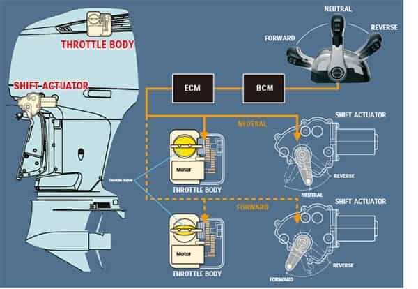 suzuki outboard parts diagram