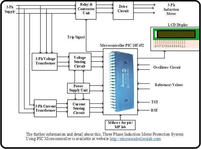 three phase induction motor circuit diagram