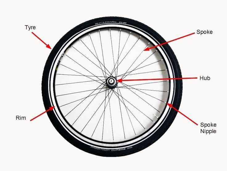 parts of a bicycle wheel diagram